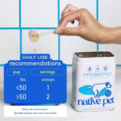 Native Pet Probiotic Powder for Dogs - Prebiotic Fiber & Bone Broth, Gut Health - 4.1 oz: Adult Pet Digestive Health