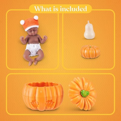 My Mini Pumpkin Patch