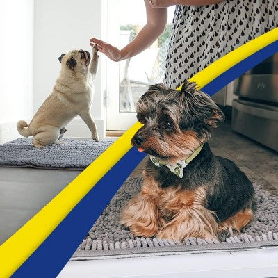 Muddy Mat Highly Absorbent Soft Chenille Door Mat and Pet Rug Non Slip Thick Washable Area and Bath Mat for Indoor & Outdoor-Grey Medium 19"x30"