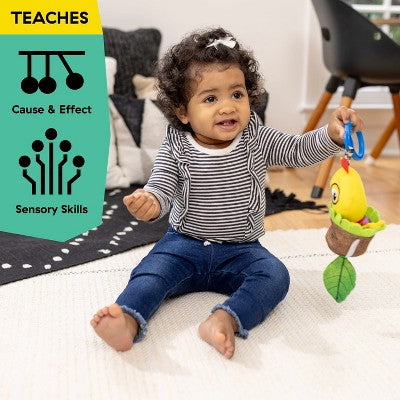 Baby Einstein Cal-a-Puller Pull & Shake Toy - 0-36 Months