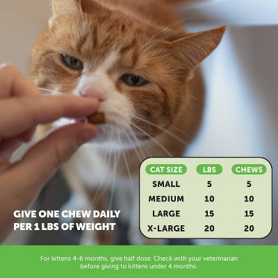 Pet Honesty Hairball Supplement for Cat Chicken Flavor - Support Digestive Health, Sugar-Free Soft Chews, 3.7oz