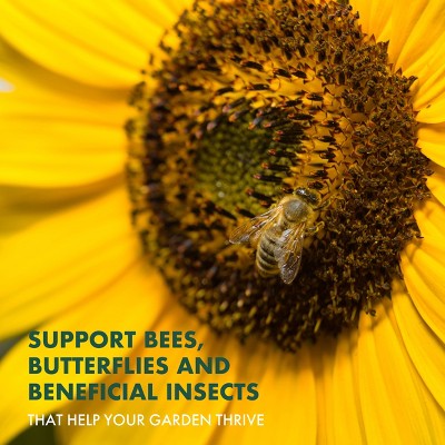 Garden Republic Mini Pollinator Garden Kit