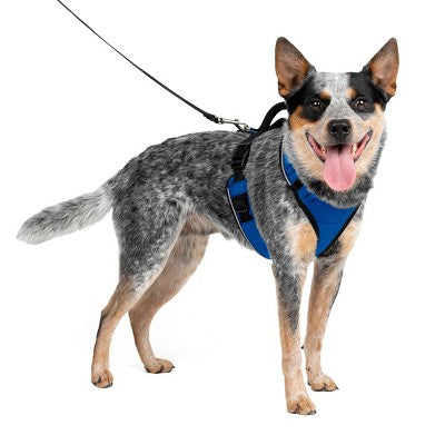 PetSafe EasySport Adjustable Dog Harness - M - Blue