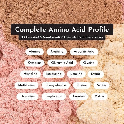 Just Ingredients Vanilla Bean Protein Mix - 17.5oz - 15 servings: Non-Caffeinated Powder, Sports Drink