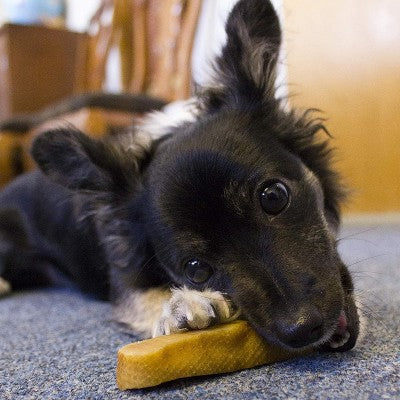Himalayan Dog Chew Original Yak Cheese Chews For Dogs Medium - 1 Stick