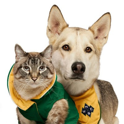 Reversible Compass Dog and Cat Bandana - Dark Yellow - The Cuddle Collab with Baloo & Pan - XS/S