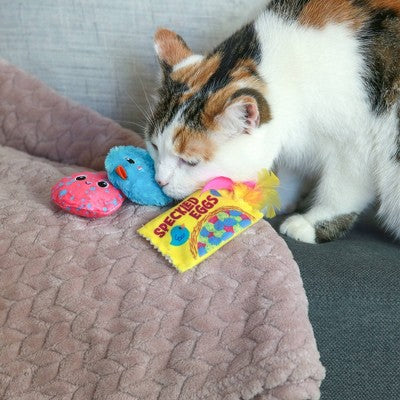 Quirky Kitty Robin's Eggs Cat Plush Toy