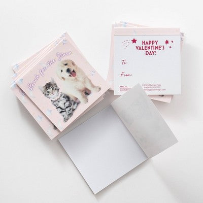Paper Magic 16ct Rachael Hale Notepad Valentine's Day Exchange Cards