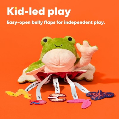 KiwiCo 4" Froggie Dissection Lab Stuffed Animal
