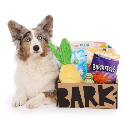 BARK Beg-n-Bag Medium Box Dog Plush Toy Set - 5pc