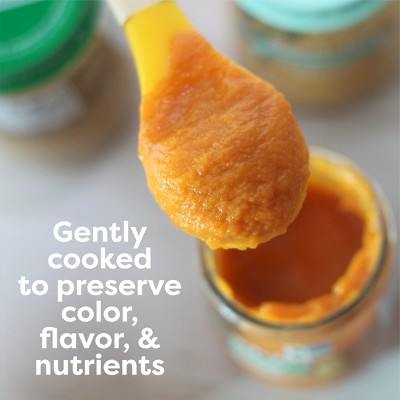 Beech-Nut Non-GMO Organics Apples Baby Food Jar - 4oz