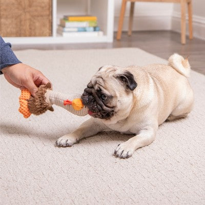 TrustyPup Long Neck Rowdy Rooster with Chew Guard Dog Toy