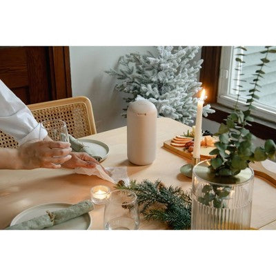 Biom Fraser Fir All-Purpose Cleaning Wipes Refill - 60ct