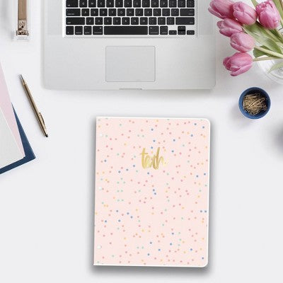 Blue Sky Monthly Teacher Lesson Stapled Planner 8.5"x1" Clear Cover Mira Pink
