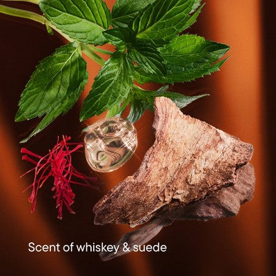 Harry's Men's Body Wash - Lodge - Limited Edition - 18 fl oz