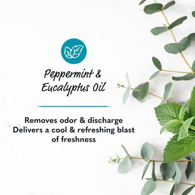 Summer's Eve Perimenopause Cooling Feminine Wash - 15 fl oz