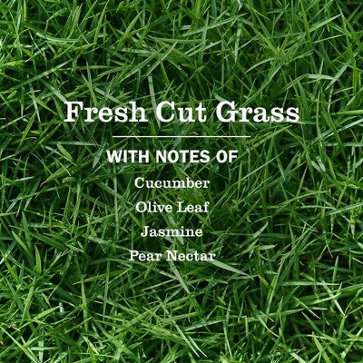 Mrs. Meyer's Clean Day Plug Scent Oil Air Freshener Refills Fresh Cut Grass - 0.67oz/2pk
