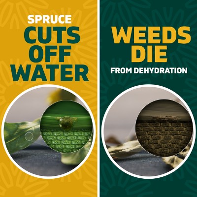 Spruce Weed and Grass Killer Trigger Spray 24oz