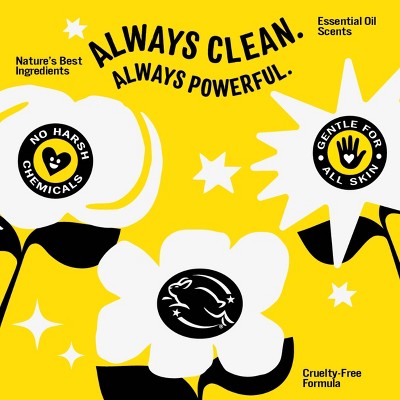 Molly's Suds Liquid Laundry Detergents 90 Loads - Sunlit Cedar - 46 fl oz