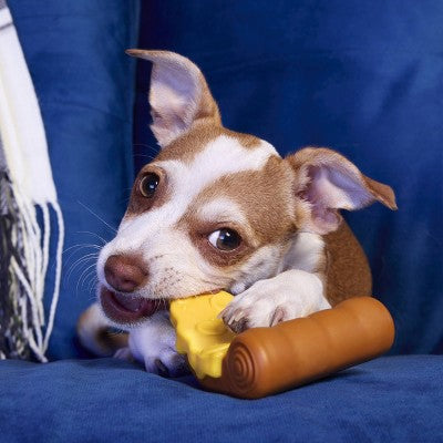 BARK Barkbuster Movie Night Tough Crust Pizza Dog Food Shaped Superchewer Toy