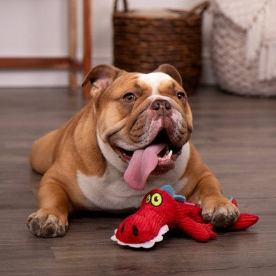 TrustyPup Gator Regular Squeaker Dog Toy