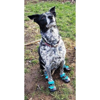 Healers Urban Walker Dog Boots - L/M - Teal: Pet Footwear, Polyester, Medium/Large, 2-Pack