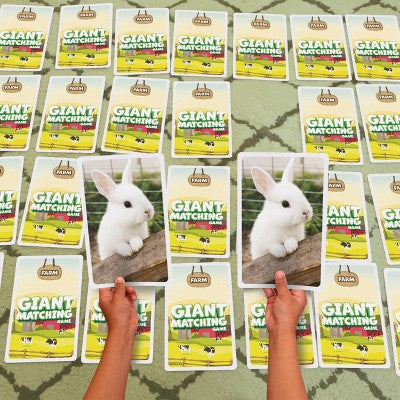 PlayMonster Farm Giant Matching Card Board Game