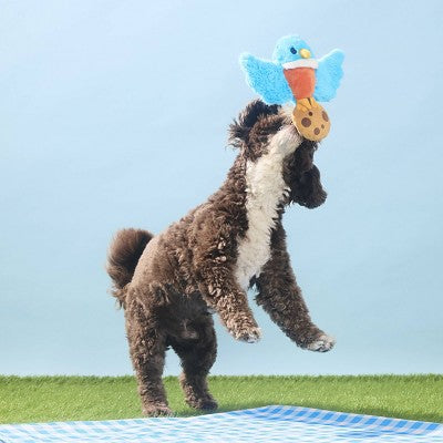 BARK Spring Picnic in the Bark Robbin' Robin Dog Animal Plush Toy