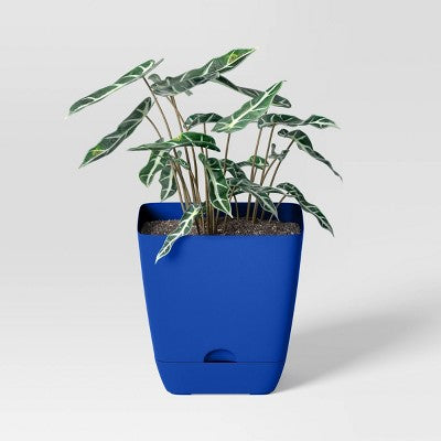 Square Self-Watering Plastic Indoor Outdoor Planter Pot Blue 6"x6" - Room Essentials