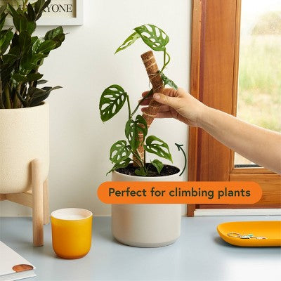 WE THE WILD Houseplant Sustainable Moss Pole Coco Climber Wood