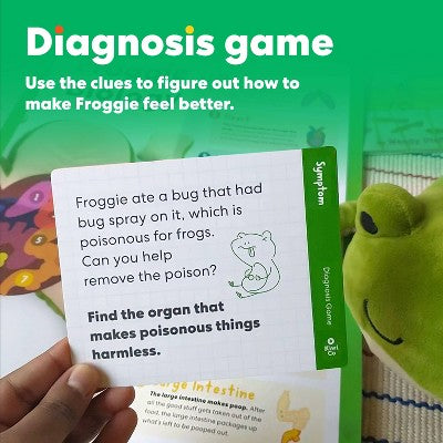 KiwiCo 4" Froggie Dissection Lab Stuffed Animal