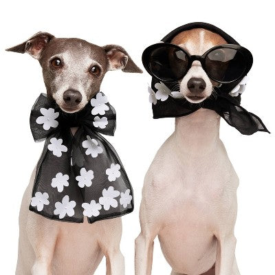 Organza Flower Scrunchie & Bandana Set - Black - The Cuddle Collab with Ghost & Wren