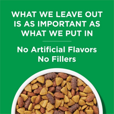 Dog Chow Chicken Flavor Adult Dry Dog Food - 3.5lbs