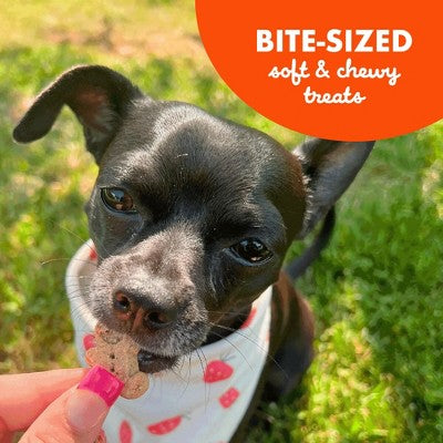 Buddy Biscuits Peanut Butter Soft and Chewy Dog Treats - 6oz