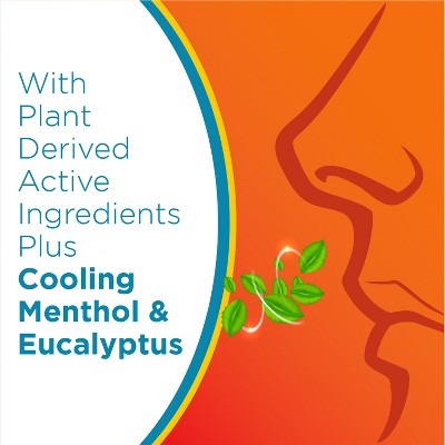 Zicam Cold Remedy Cold Shortening Medicated Zinc-Free Nasal Swabs - 20ct