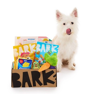 BARK Beg-n-Bag Small Box Dog Plush Toy Set - 5pc