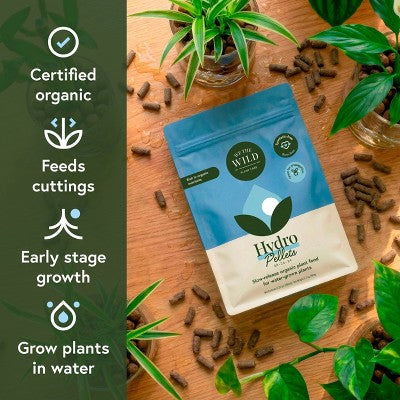 WE THE WILD Propagation Kit Organic Hydro Pellet Plant Food & Premium Glassware Vessel