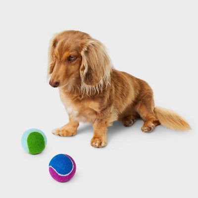Printed Tennis Dog Ball Toy - Boots & Barkley - 2pk
