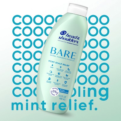 Head & Shoulders BARE Itchy Scalp Relief Anti-Dandruff Shampoo - 13.5 fl oz