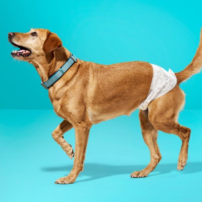 Male Wrap Dog Diapers - 24ct - L/XL - up&up