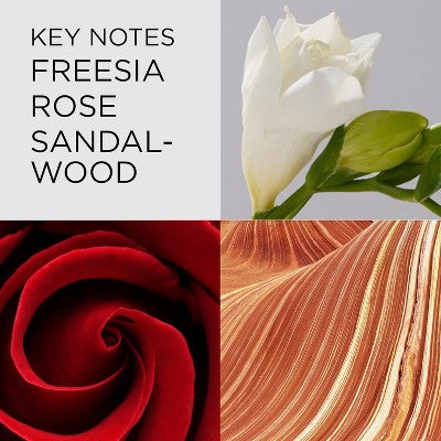 Elizabeth Arden Red Door Eau de Toilette EDT for Women, 1 oz Long Lasting Women's Perfume