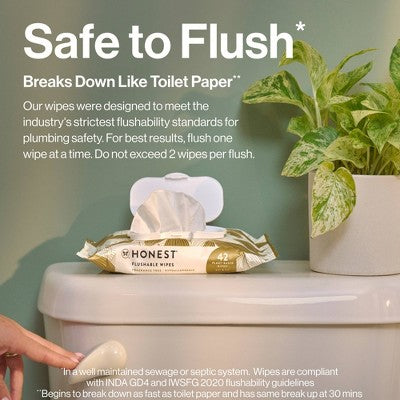 The Honest Company Flushable Wipes - Gilded Wings - 126ct: Unscented