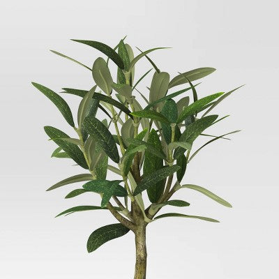 12" Olive Artificial Plant - Threshold designed with Studio McGee