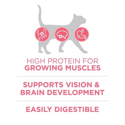 Purina ONE Healthy Kitten Formula Natural Chicken Flavor Dry Cat Food - 3.5lbs