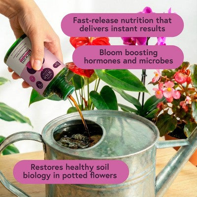 WE THE WILD Bloom Concentrate Fast-Release Organic Plant Food for Flowering Houseplants 5.1 fl oz