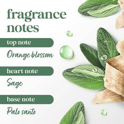 Dove Beauty Bar Soap - Palo Santo + Sage Oil - 3.75oz/4pk: Moisturizing, Nourishing, Paraben-Free, Recommended for Normal to Dry Skin
