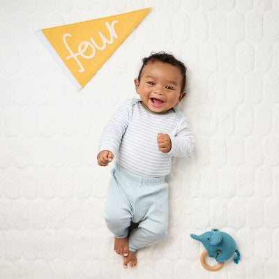 Milestone Felt Pennants - Multi Color - Cloud Island