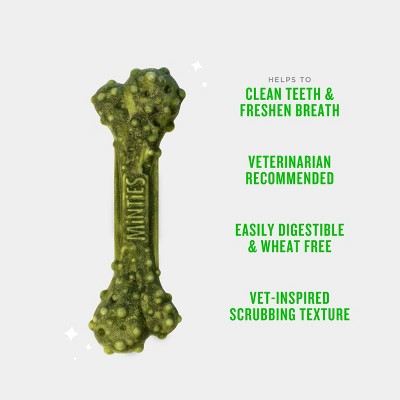 Minties Peppermint Flavor Dental and Hard Chews Dog Treat - Medium - 14oz/17ct