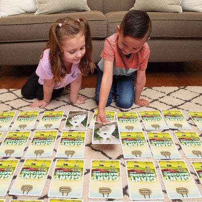 PlayMonster Farm Giant Matching Card Board Game