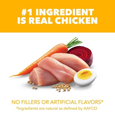 IAMS Proactive Health Chicken and Whole Grains Flavor Puppy Dry Dog Food - 7lbs